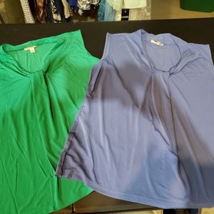 Pair of sleeveless blouses